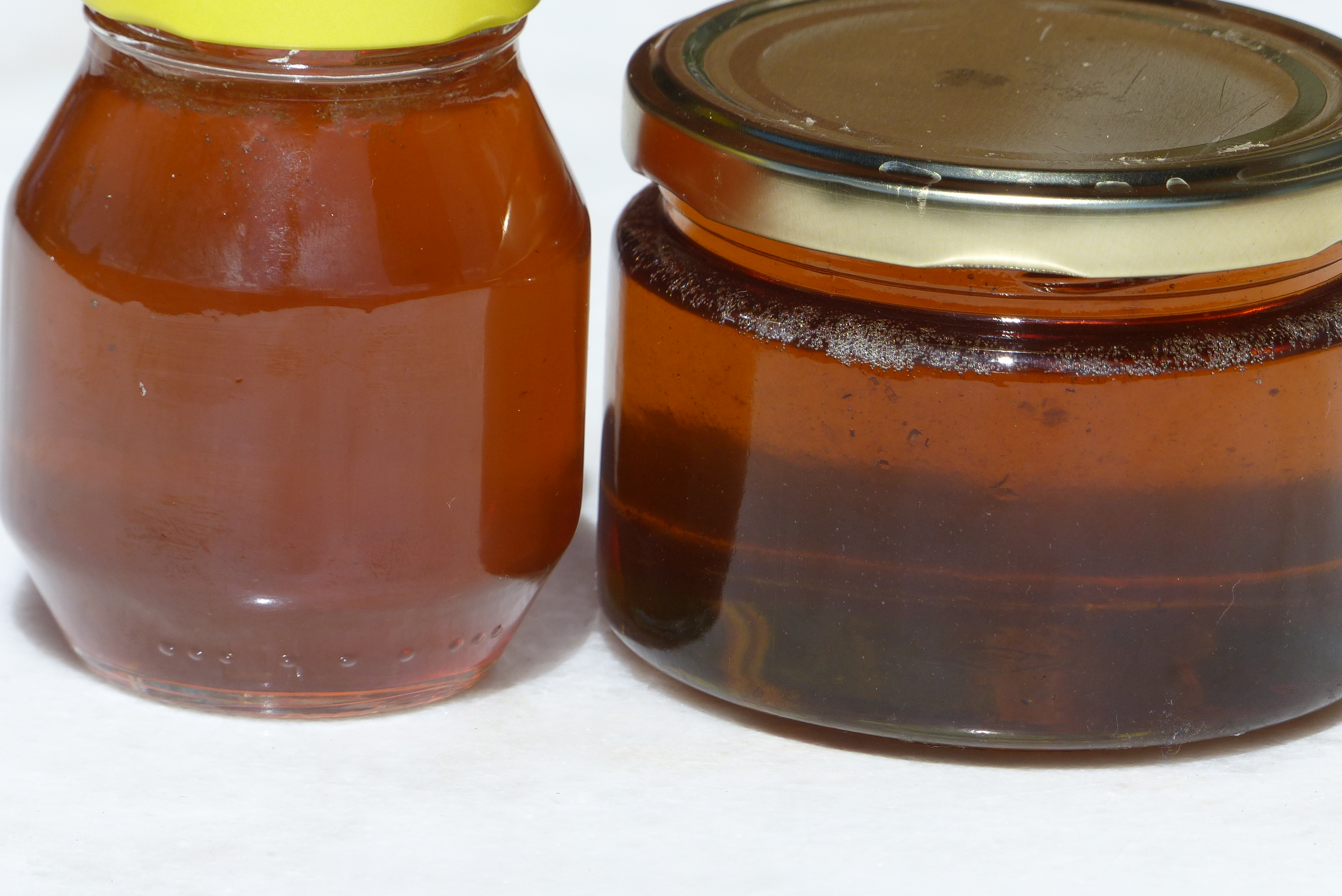 <p>Links: Löwenzahnhonig, modern zubereitet; rechts, <a href="https://www.wildfind.com/rezepte/loewenzahnhonig-traditionell">Löwenzahnhonig, traditionell zubereitet</a>.</p>