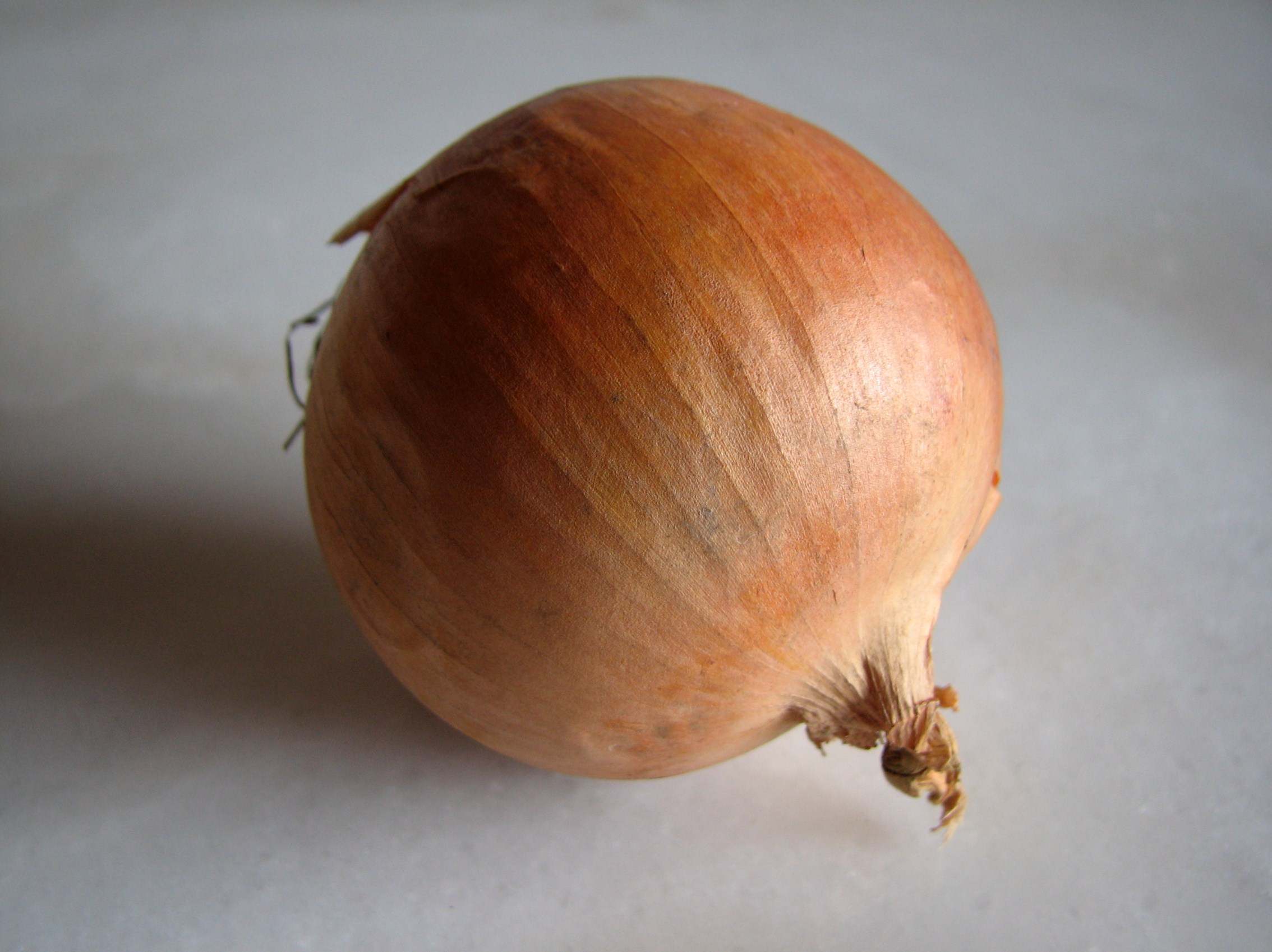 Küchenzwiebel