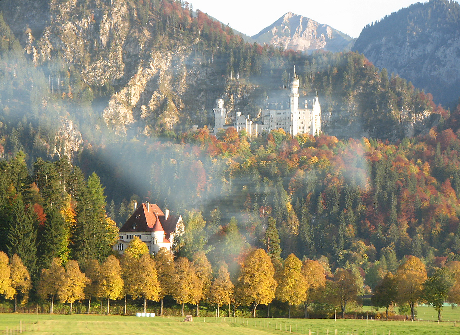Winterlinde