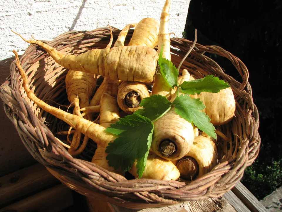 Pastinake