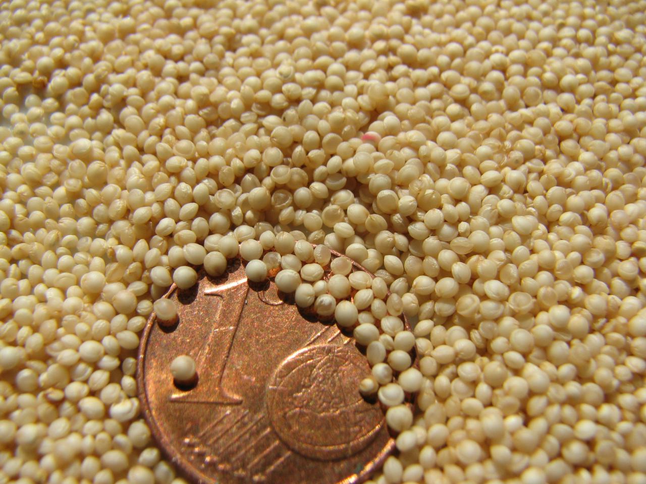 Amaranth
