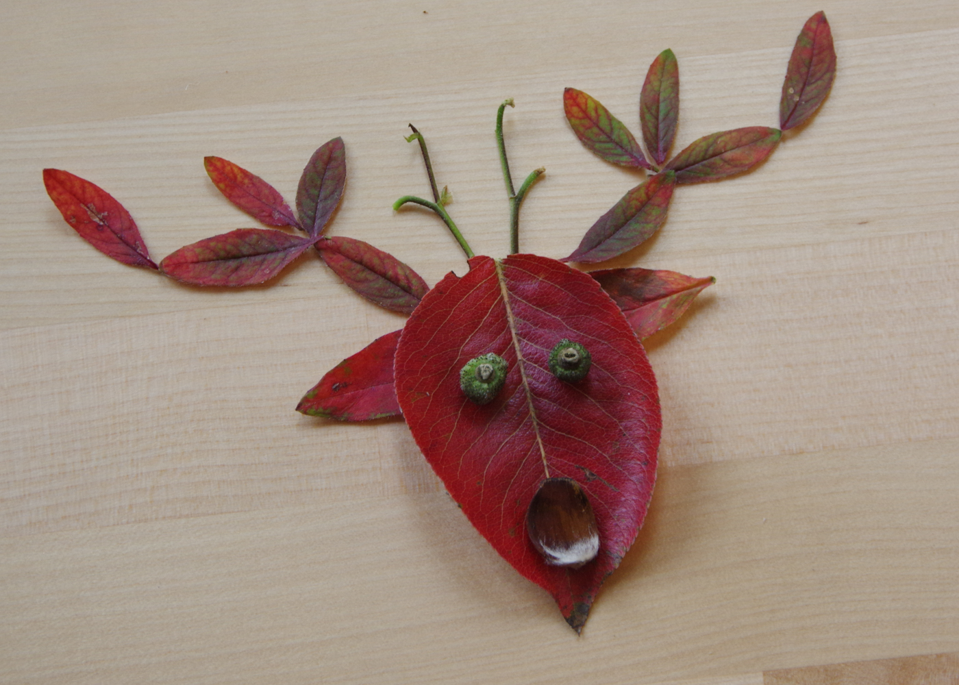 Blättertiere basteln