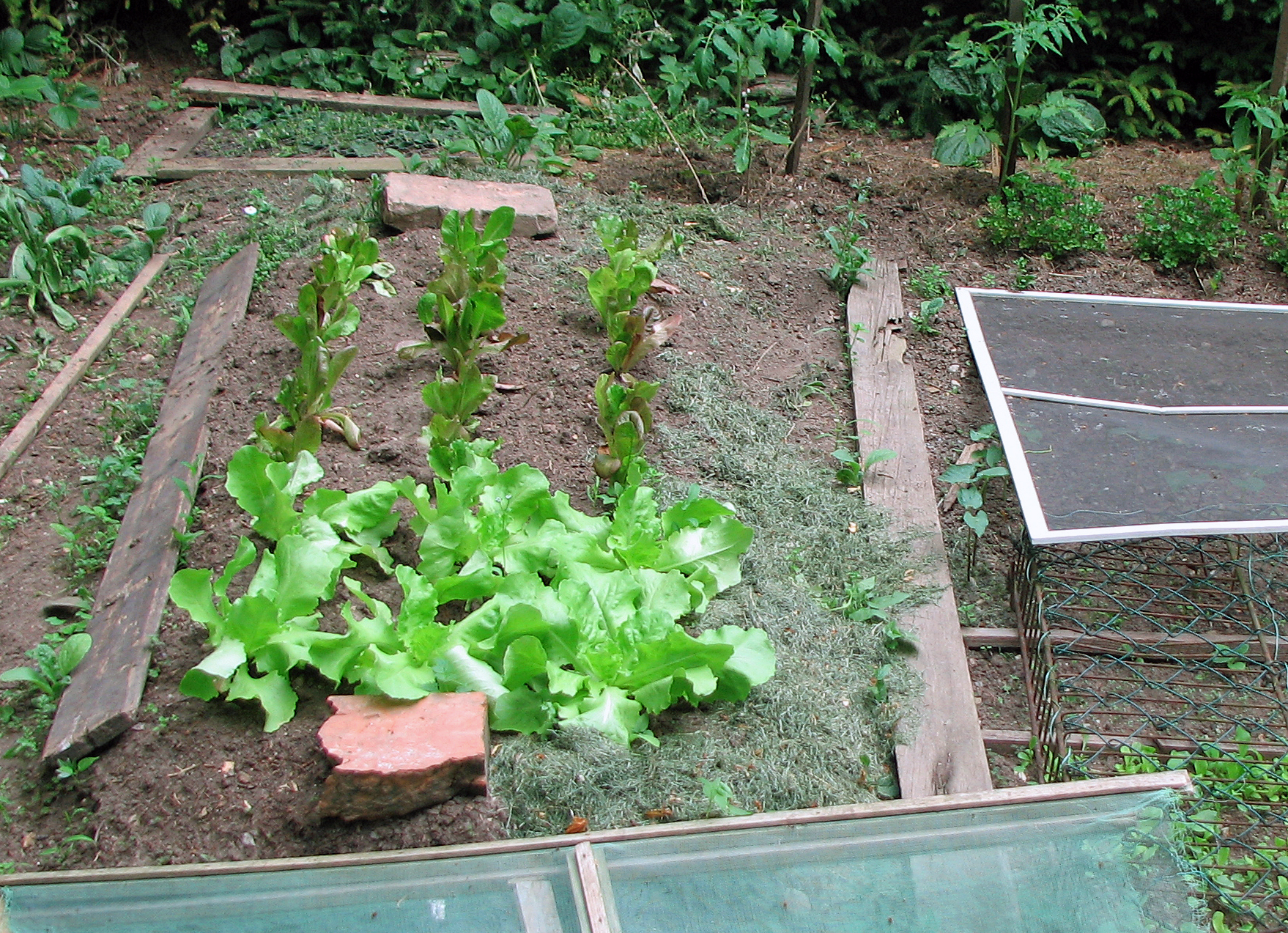 <p>Untertags verstecken sich die Schadschnecken unter <em>ausgelegten Brettern und Ziegelsteinen</em>. Hier kann Elfi sie bequem absammeln.</p>