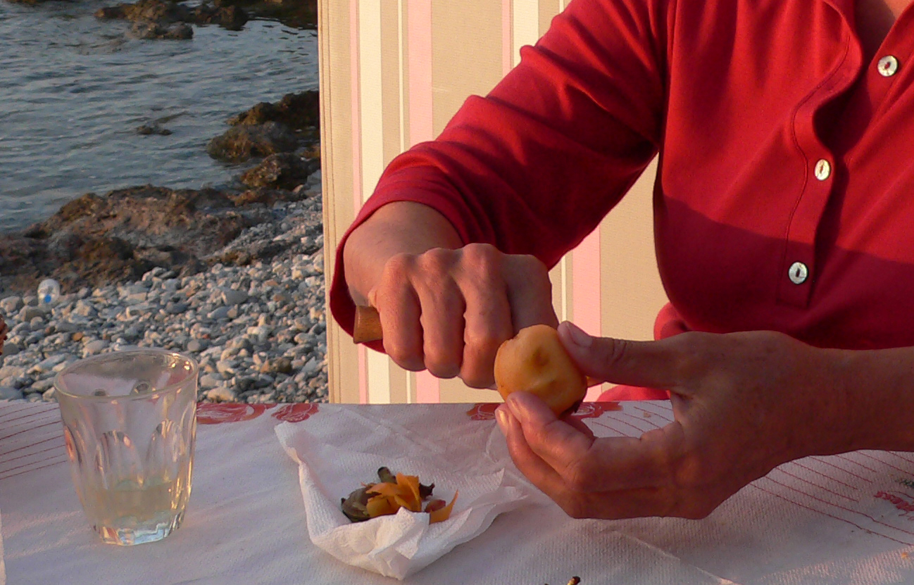 Japanische Wollmispel