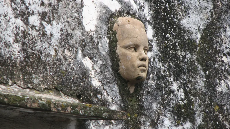 Das neue Jahrtausend entdeckt die essbaren Wildpflanzen