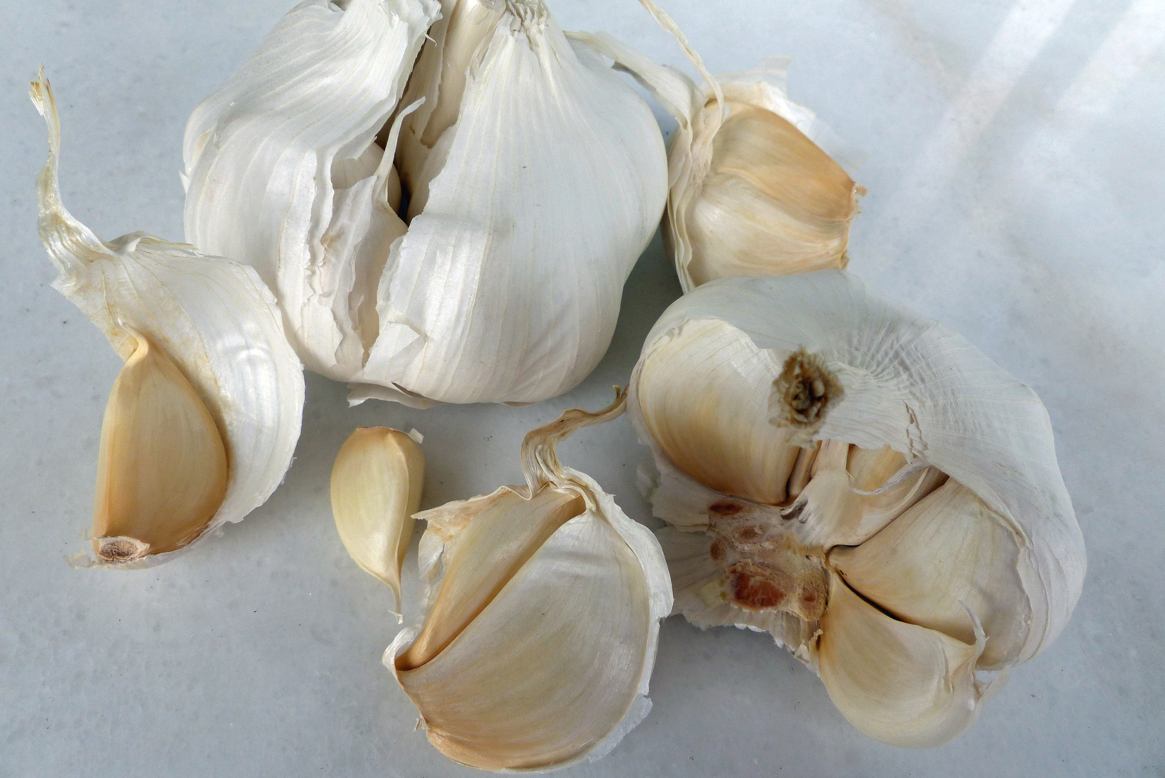 Knoblauch