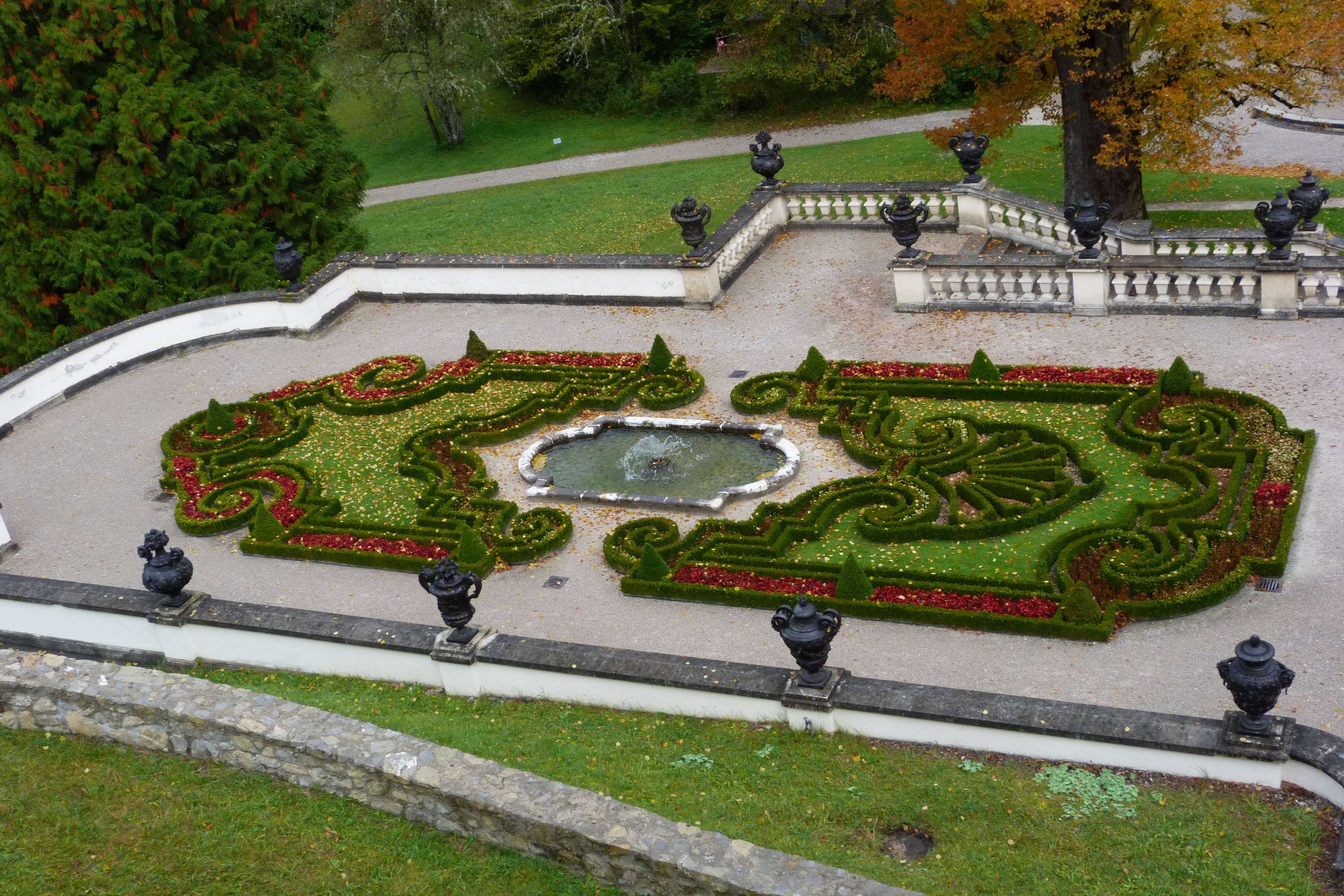 Buchsbaum