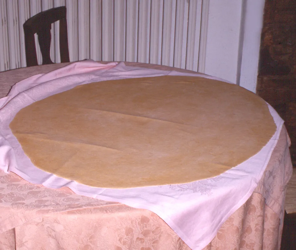 Nudeln und Lasagneblätter selber machen