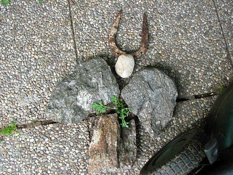 Wermut