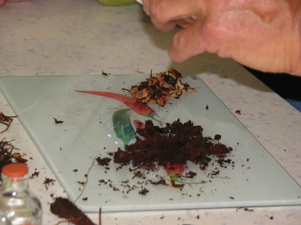 Warm-up-Massagesalbe