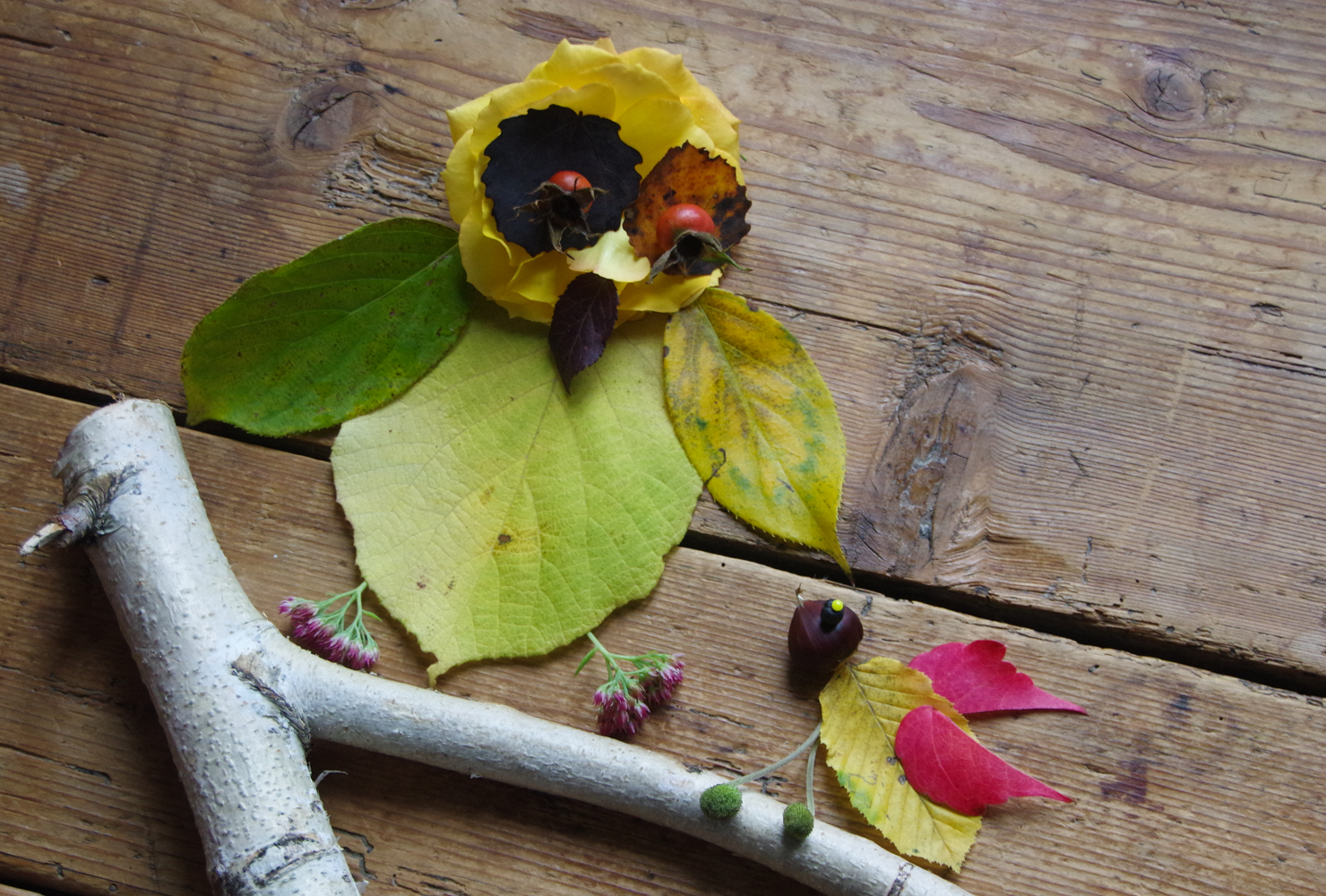 Blättertiere basteln