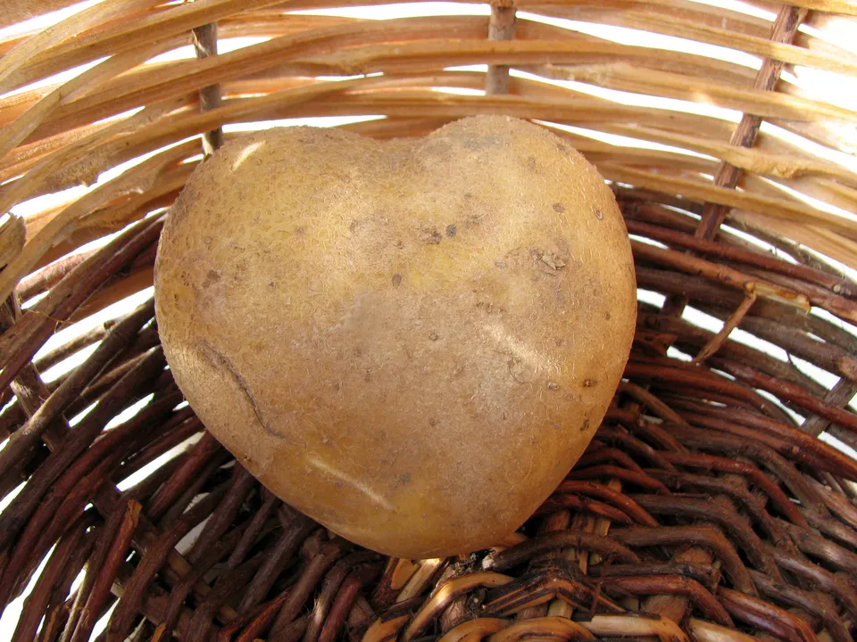 Kartoffel