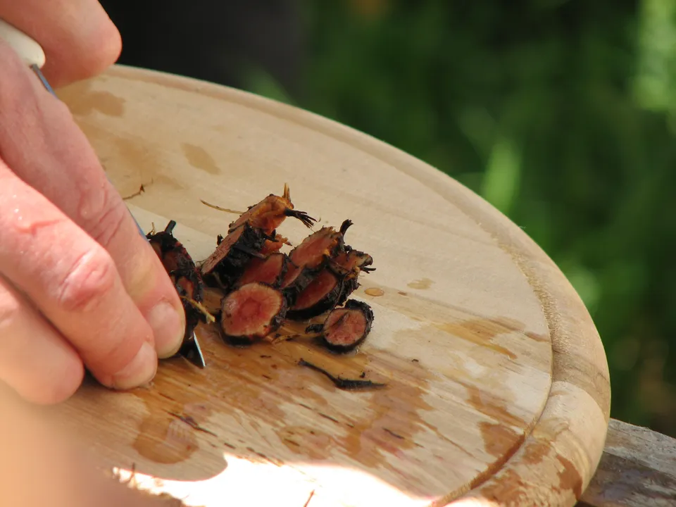 Volksmedizin als Retterin in der Not