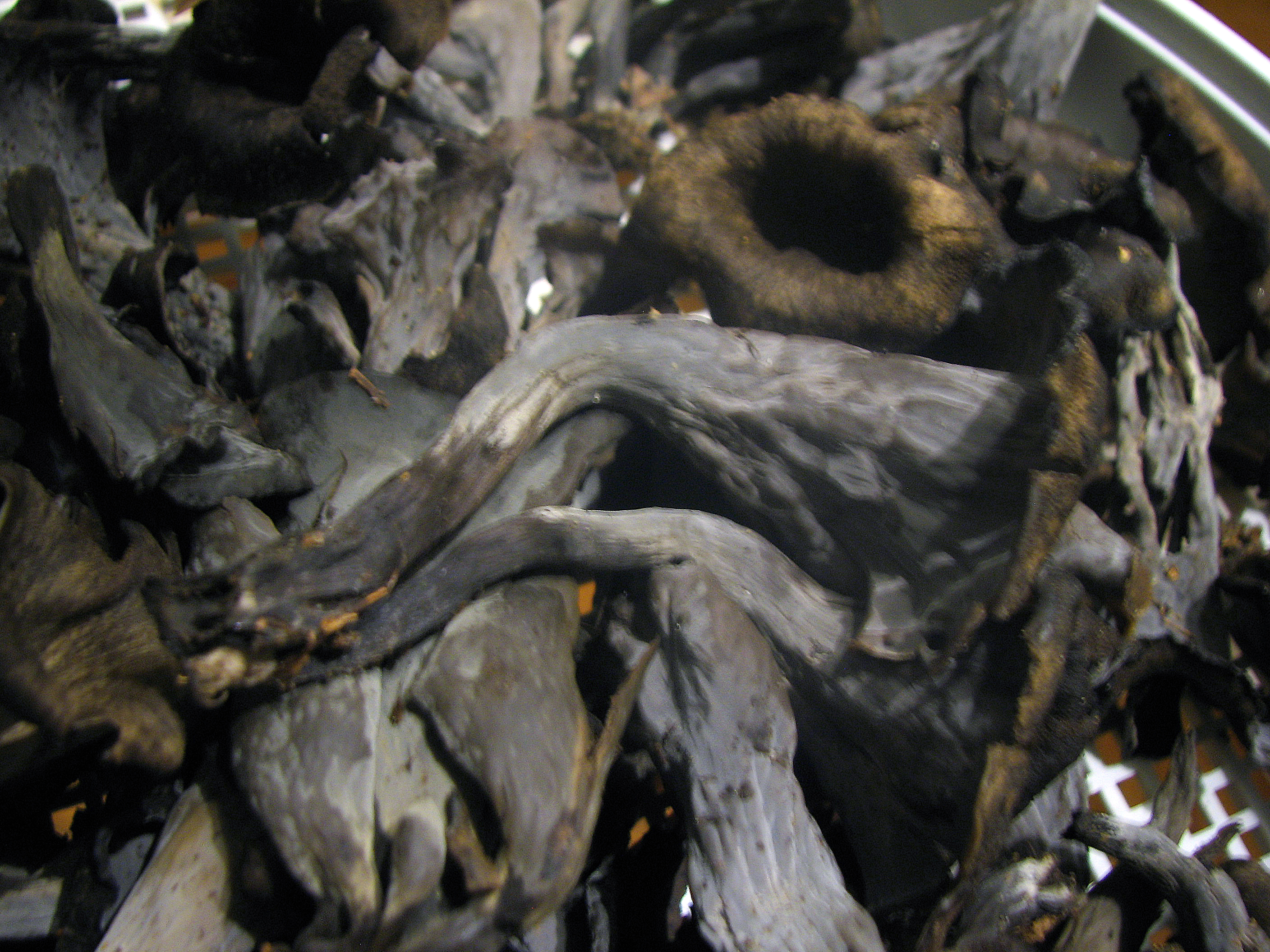 One-Pot-Pasta mit edler Pilzsauce