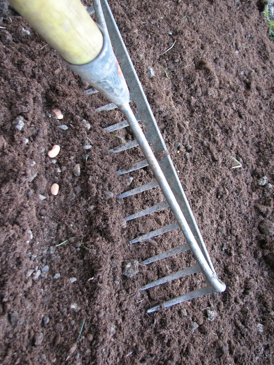 Bodenpflege und Gründüngungspflanzen