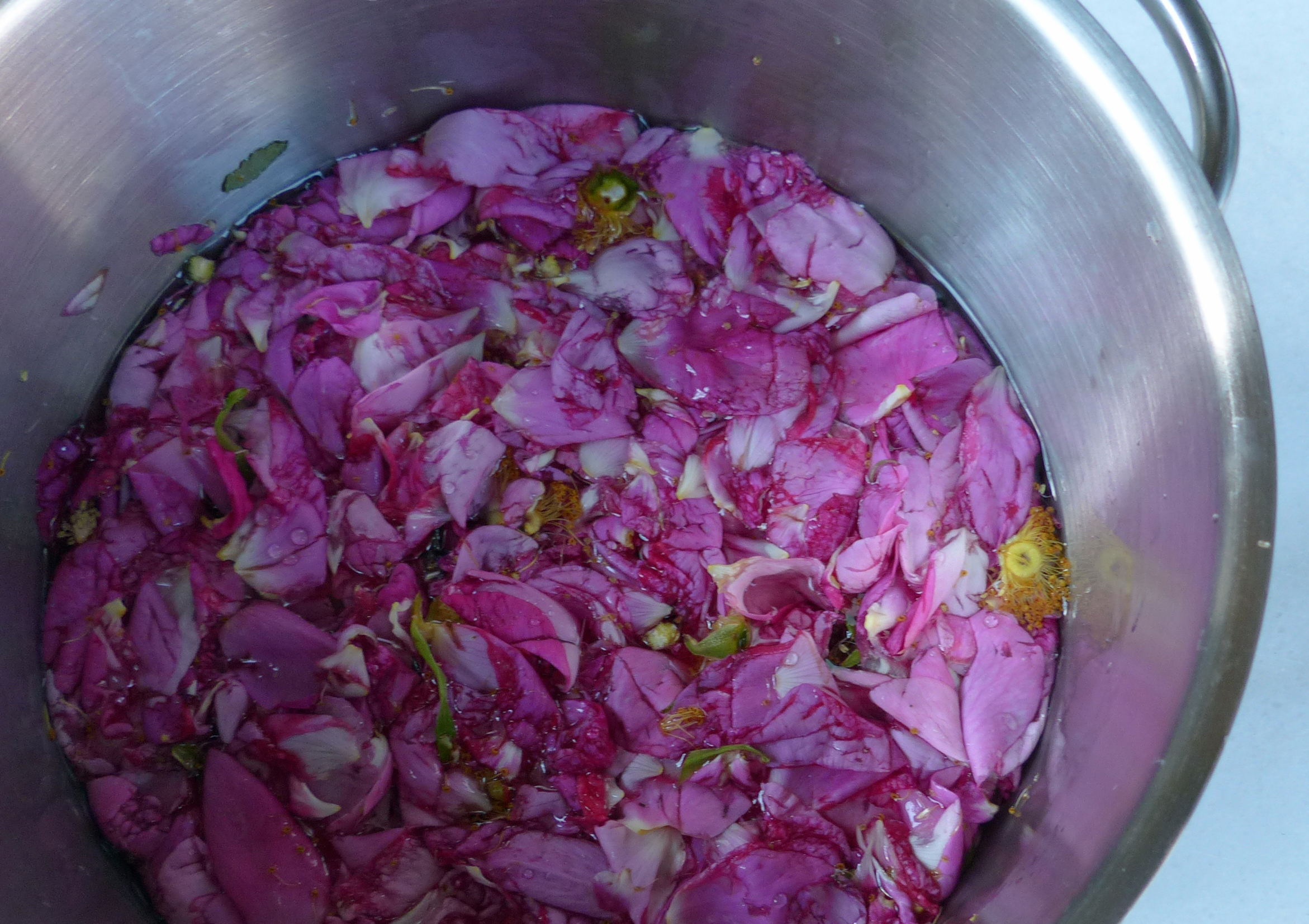 <p>Erst wenn der Sirup auf 45° abgekühlt ist, kommen Rosenbblütenblätter, Blütenboden und Staubgefäße in den Topf.</p>