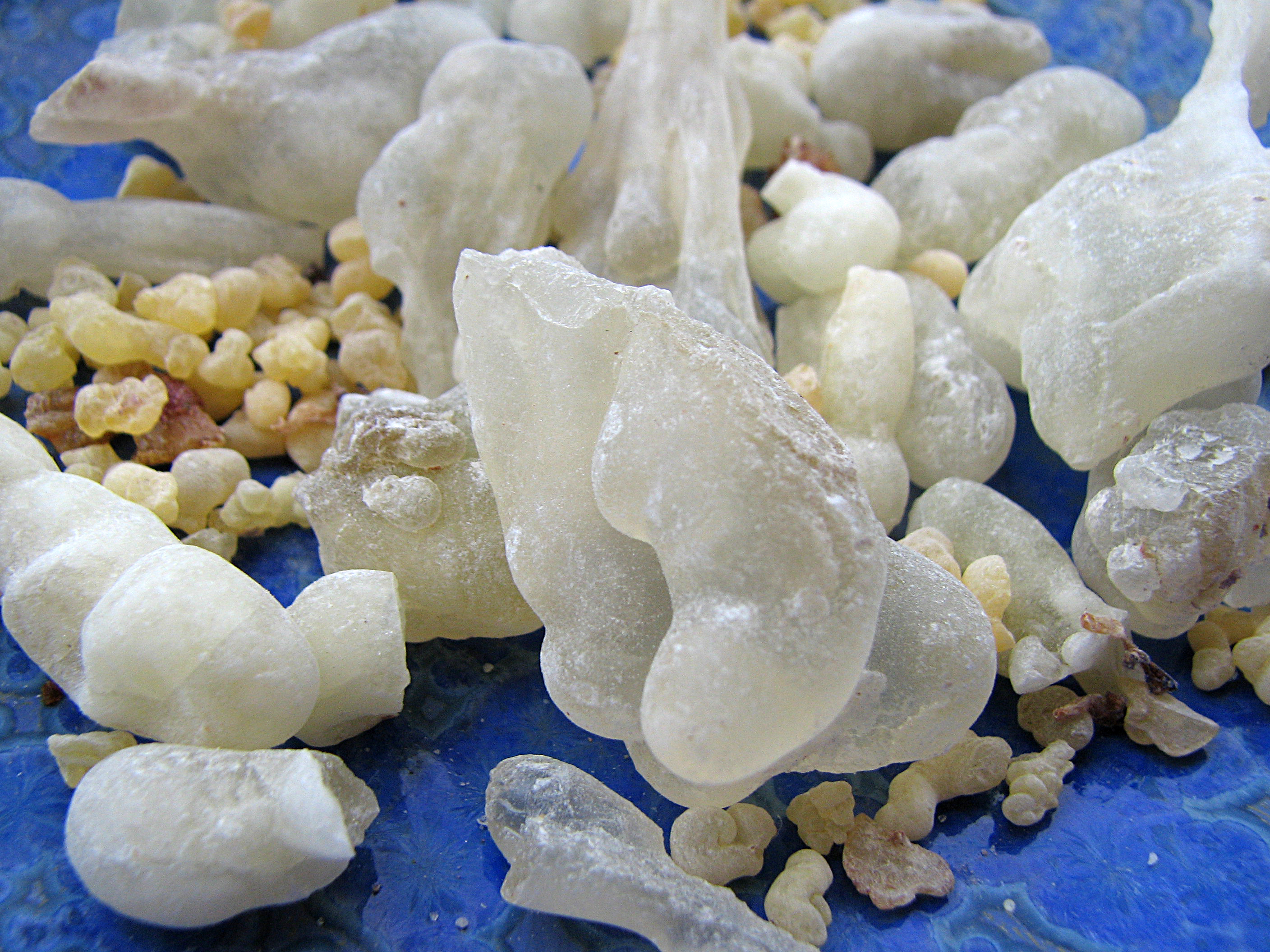 Weihrauchbäume und Weihrauch