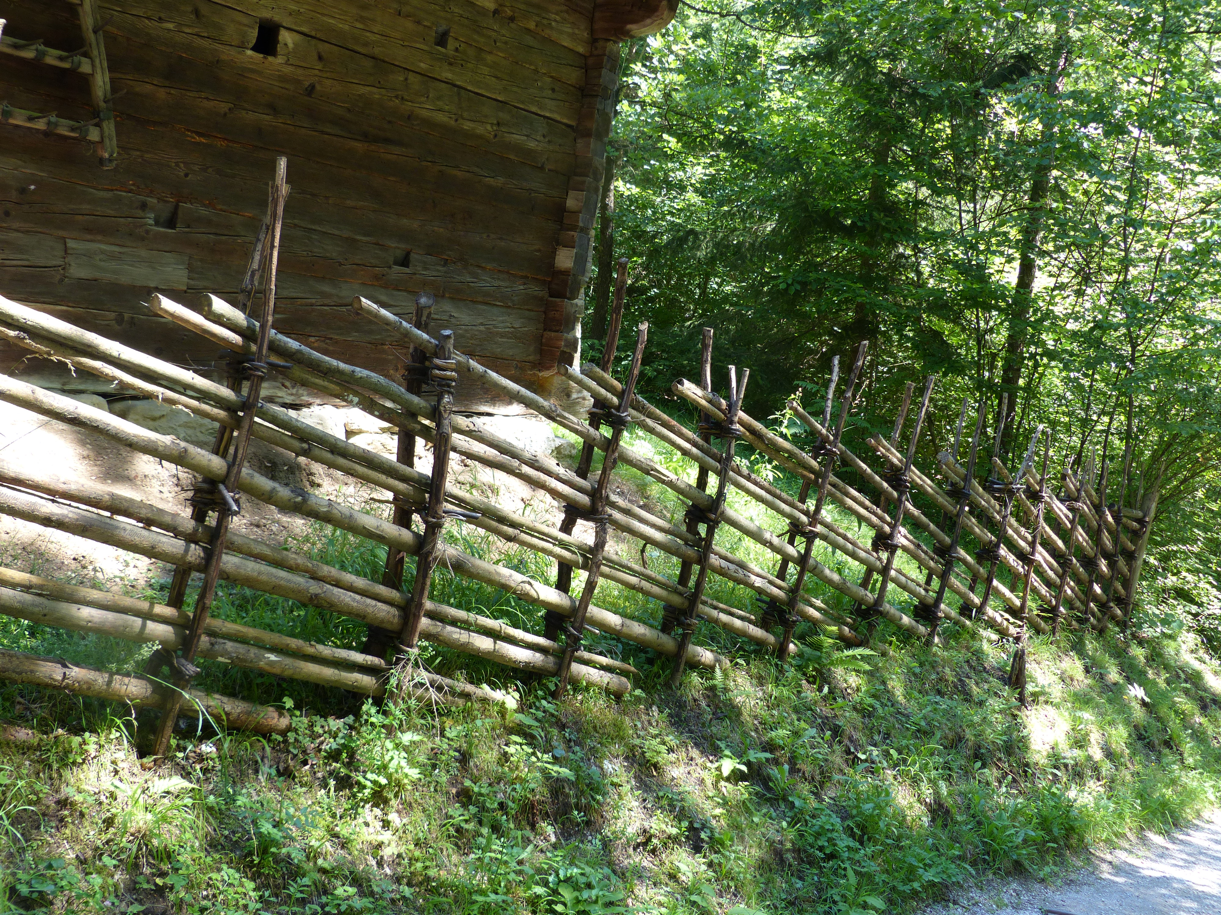 Weidenzäune  selber machen