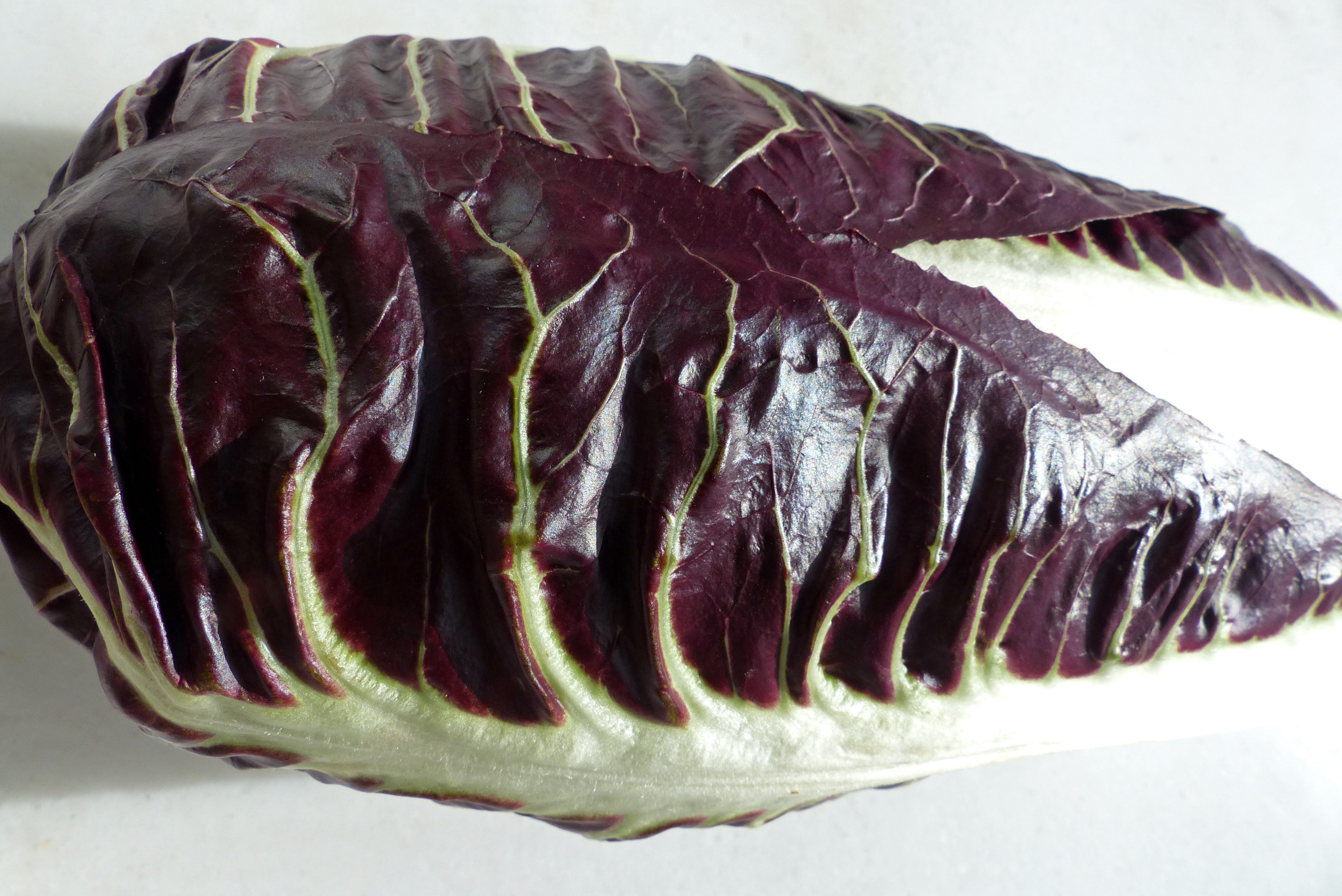 Radicchio