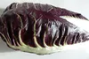Radicchio