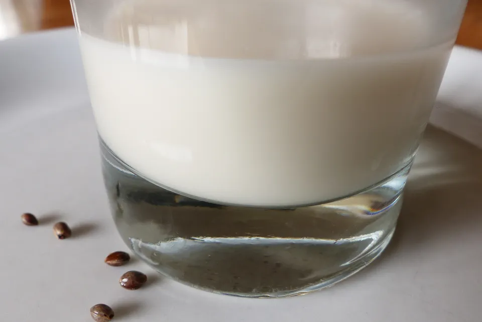 Hanfmilch