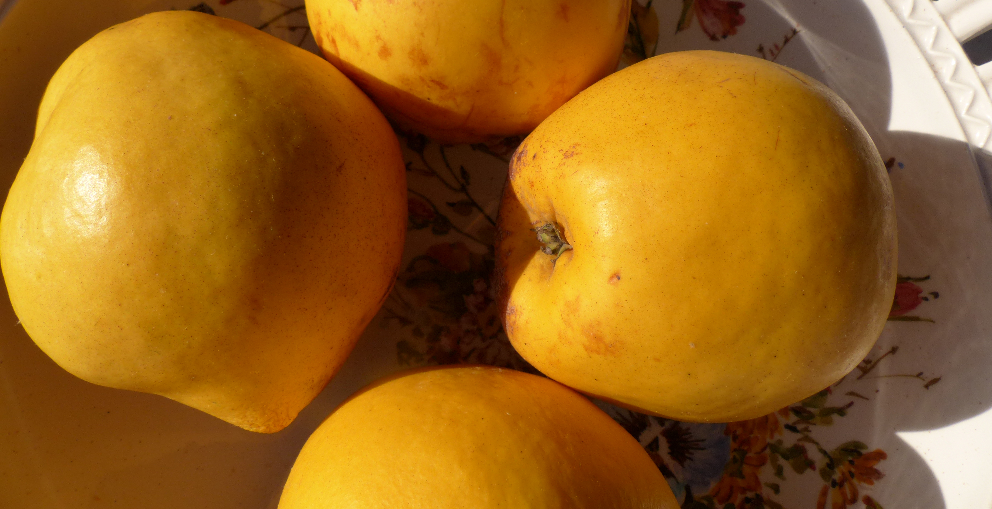 Quittenmarmelade