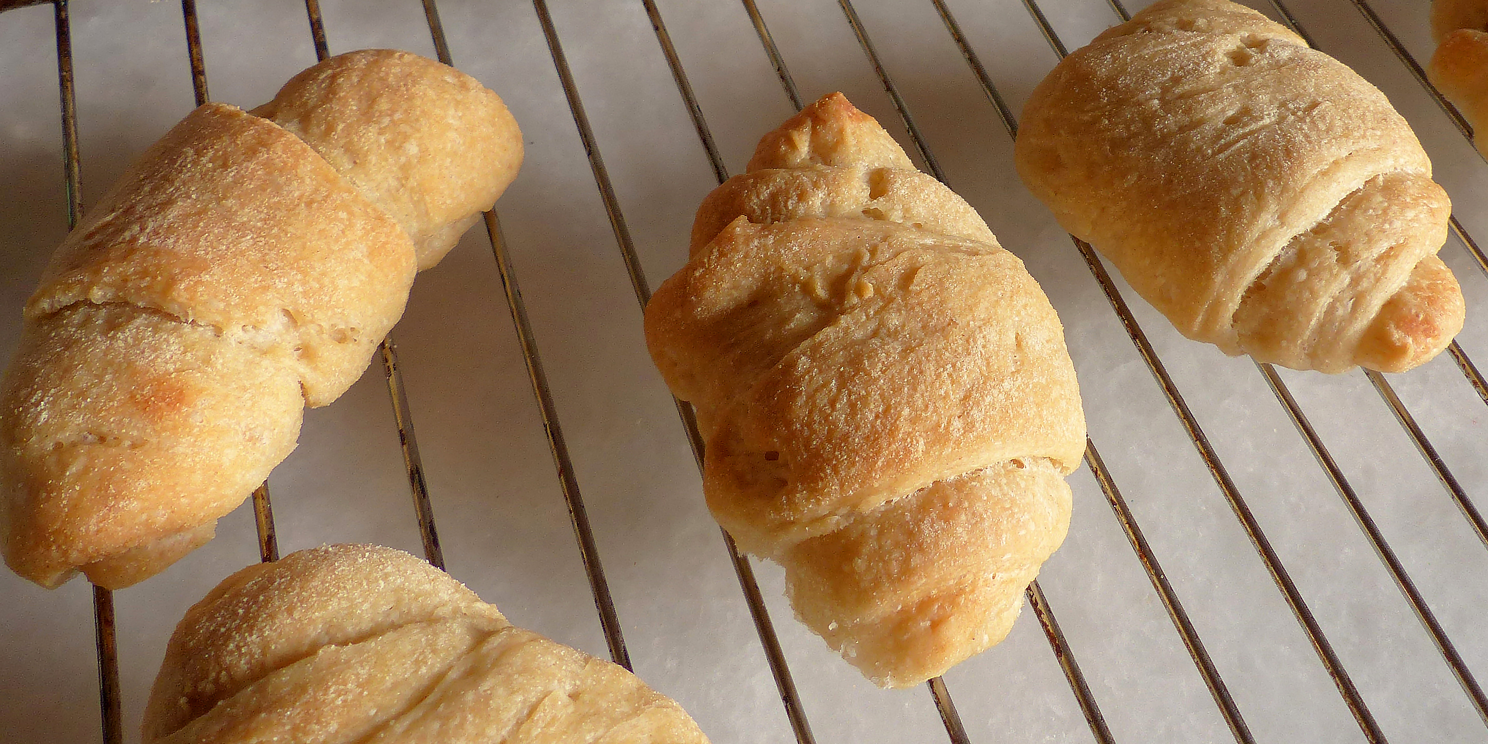 Panini all’olio