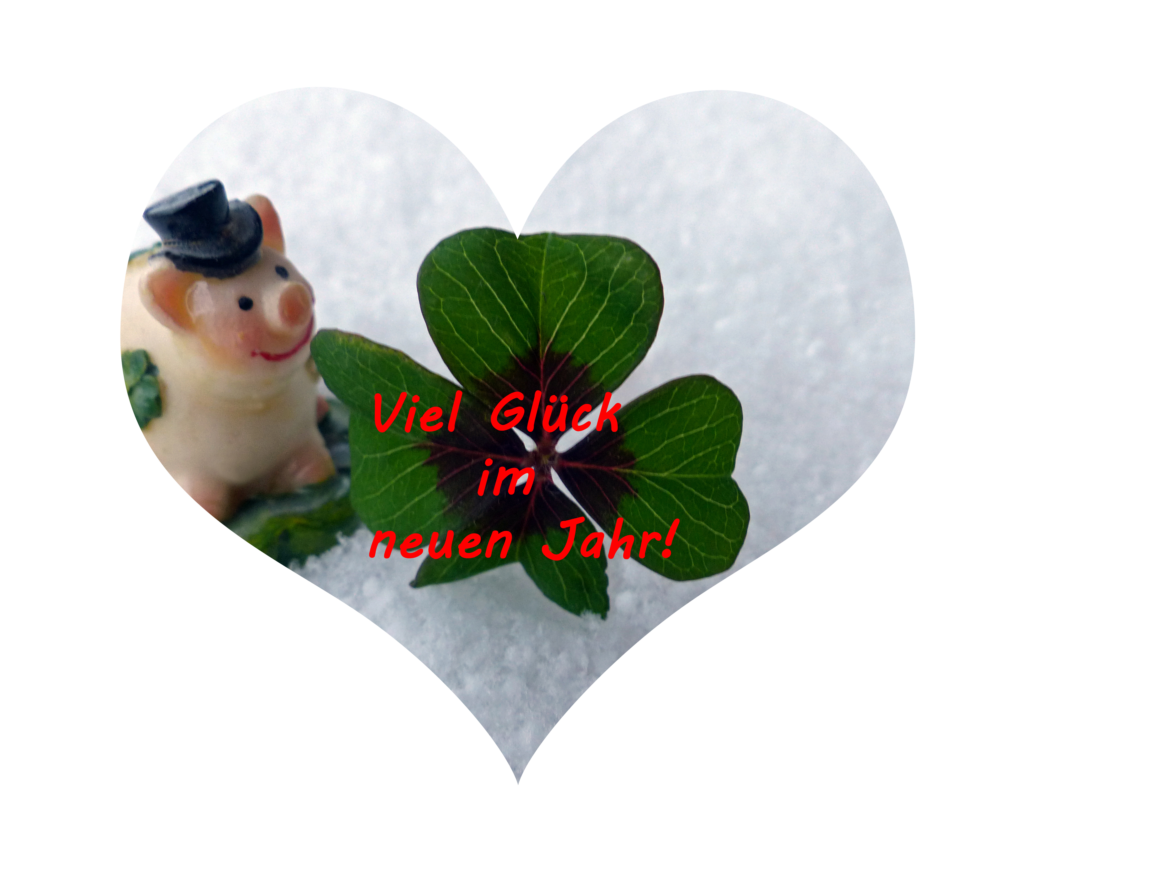Glücksklee