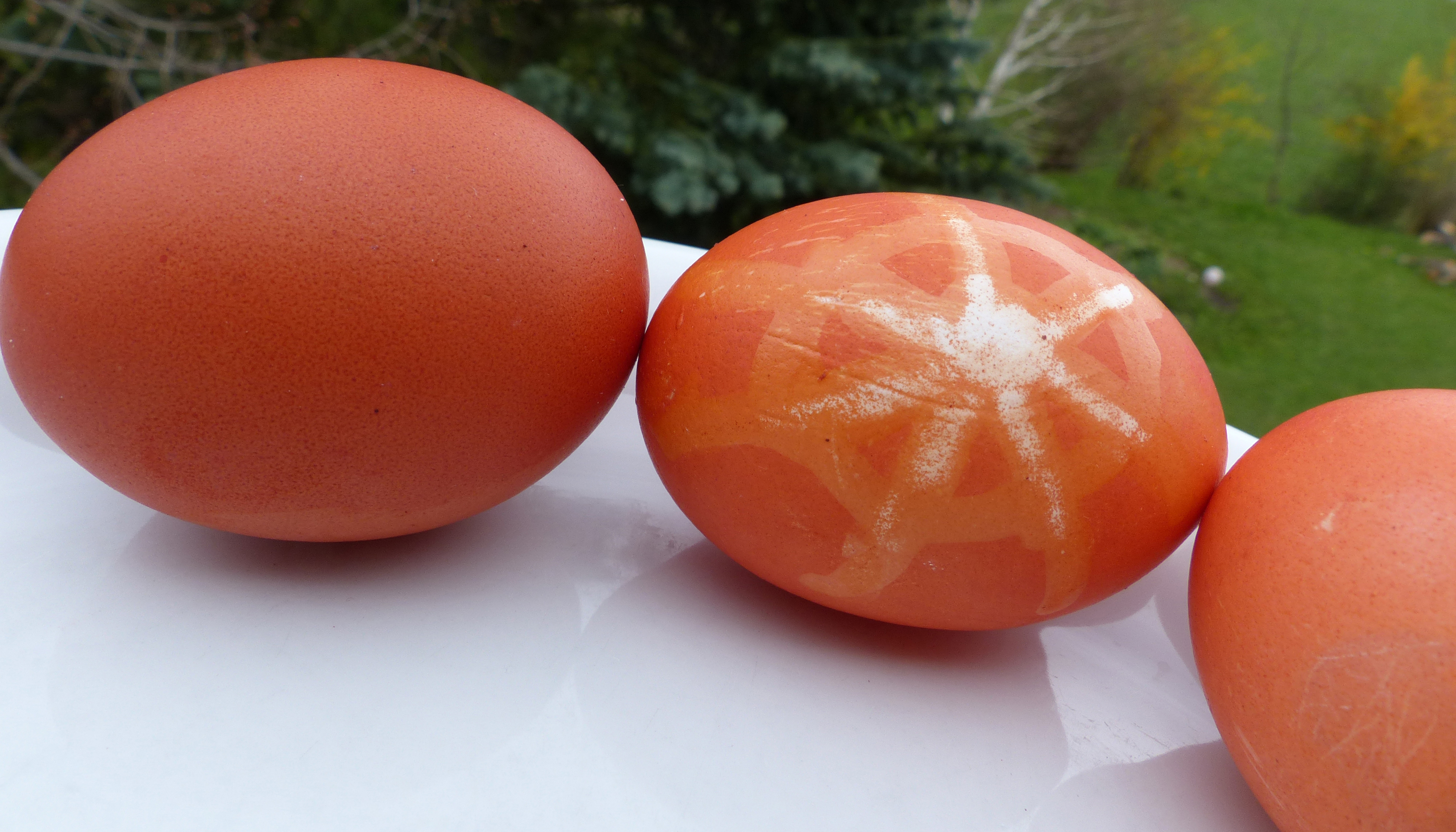 Eierfärben mit Naturfarben