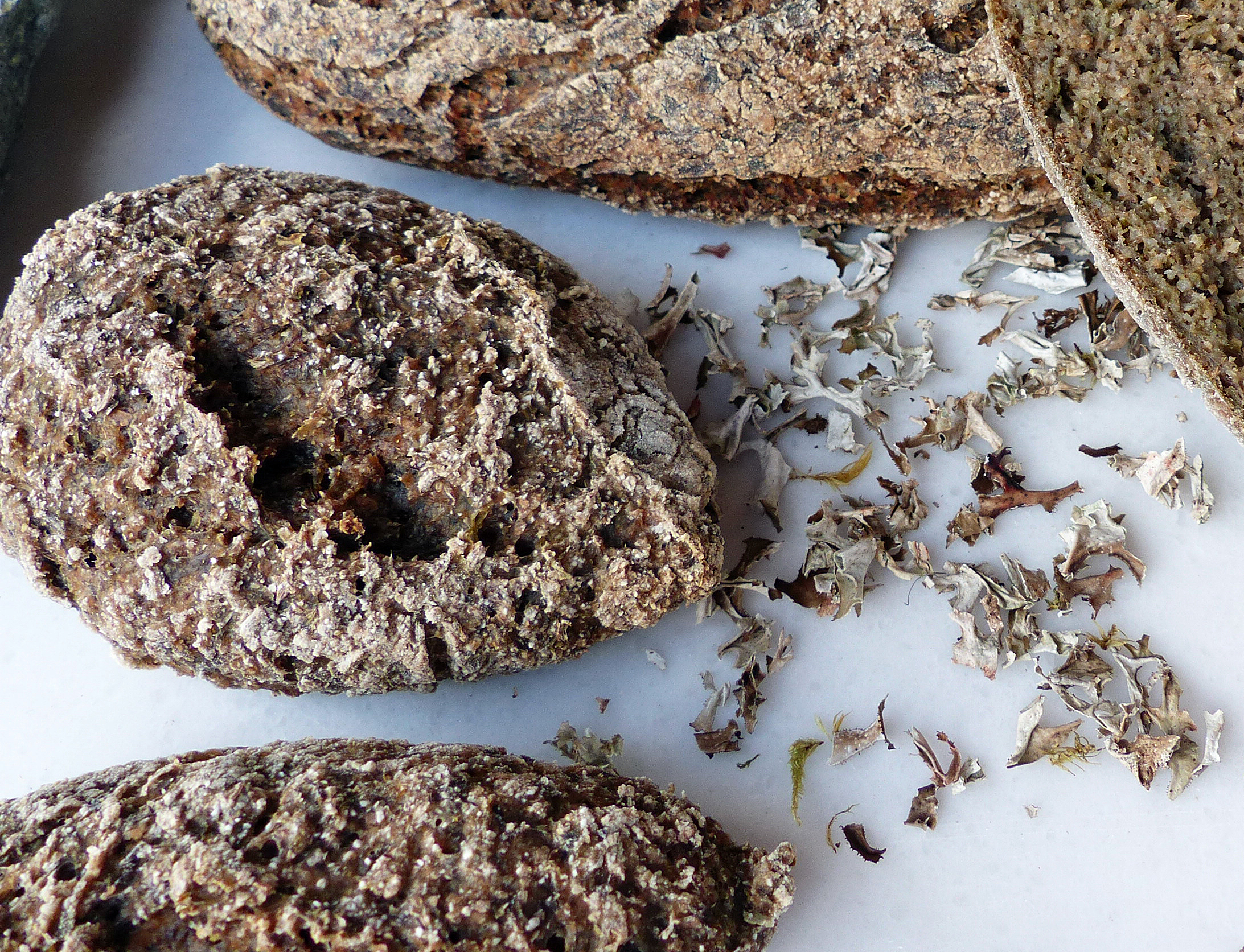 Flechtenbrot, Moosbrot