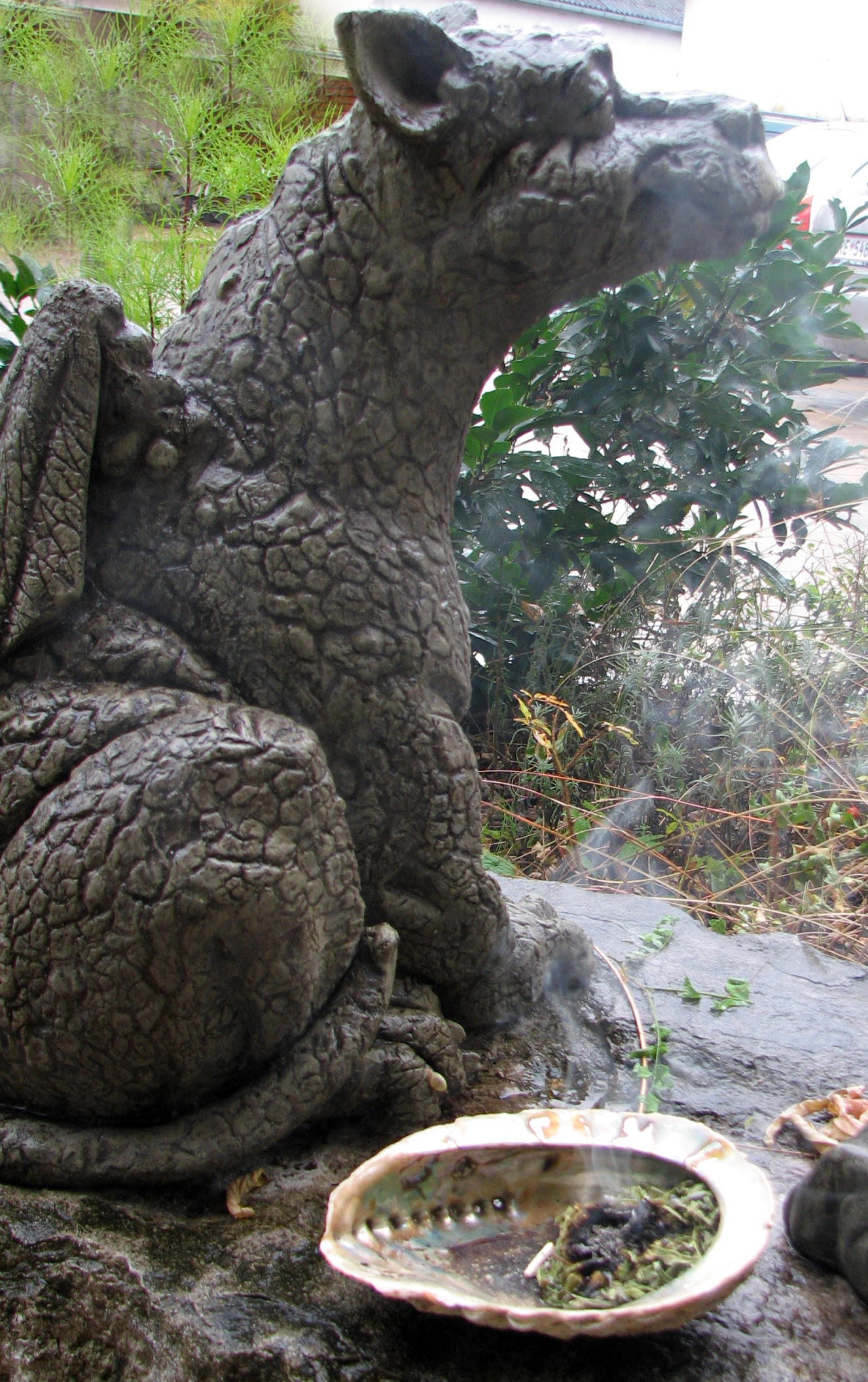 <p>Direktverräucherung von zerkleinertem Räuchergut in einer Abalone ("Irismuschel").</p>