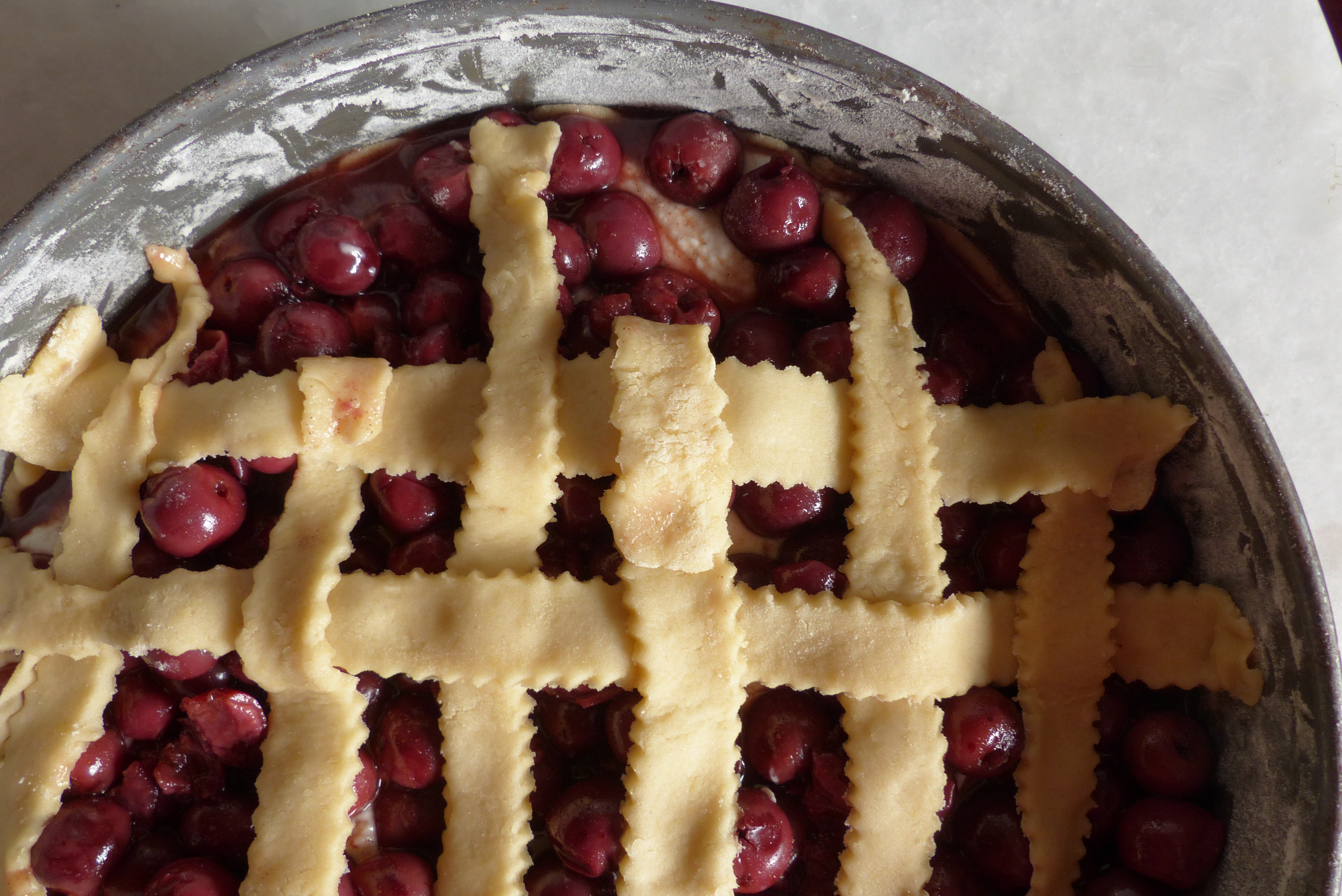 <p><em><strong>5</strong></em></p>