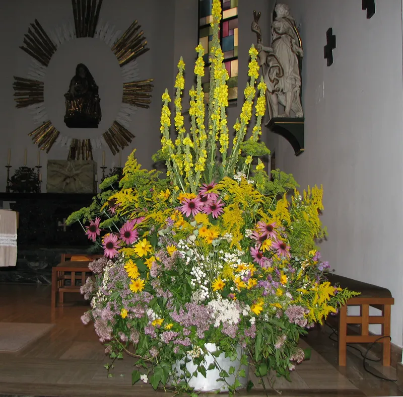 Uralte Mythen über weise Frauen und Männer - Hexenwahn