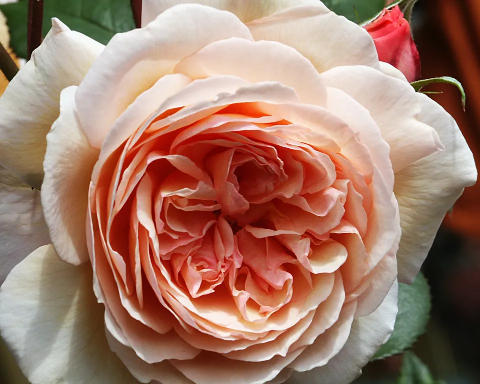 Abraham Darby