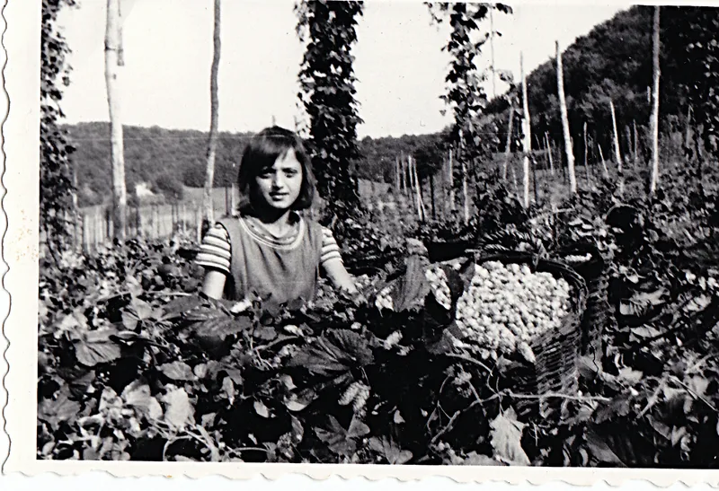 Verwendung von Hopfen