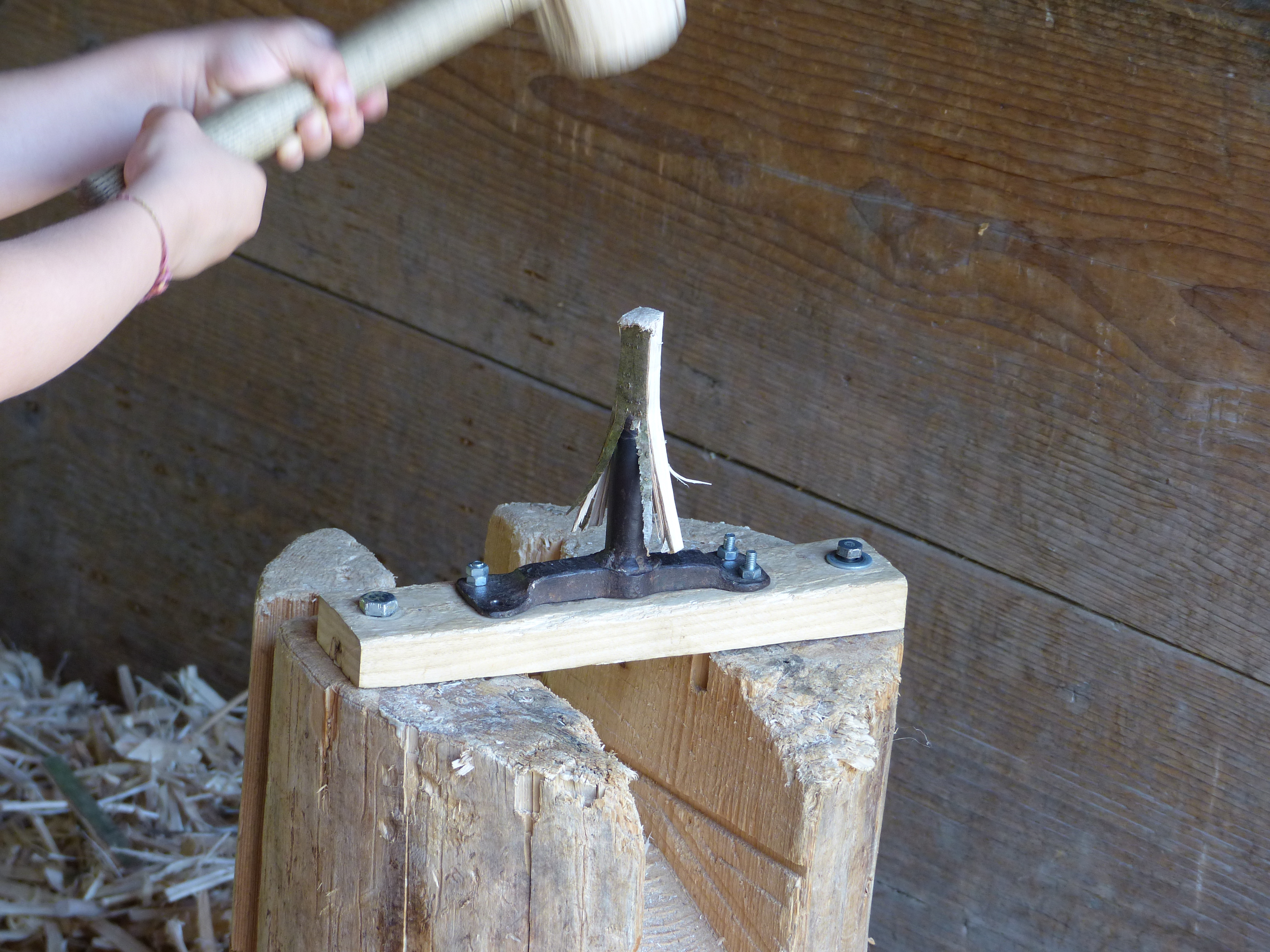 Eingriffeliger Weißdorn