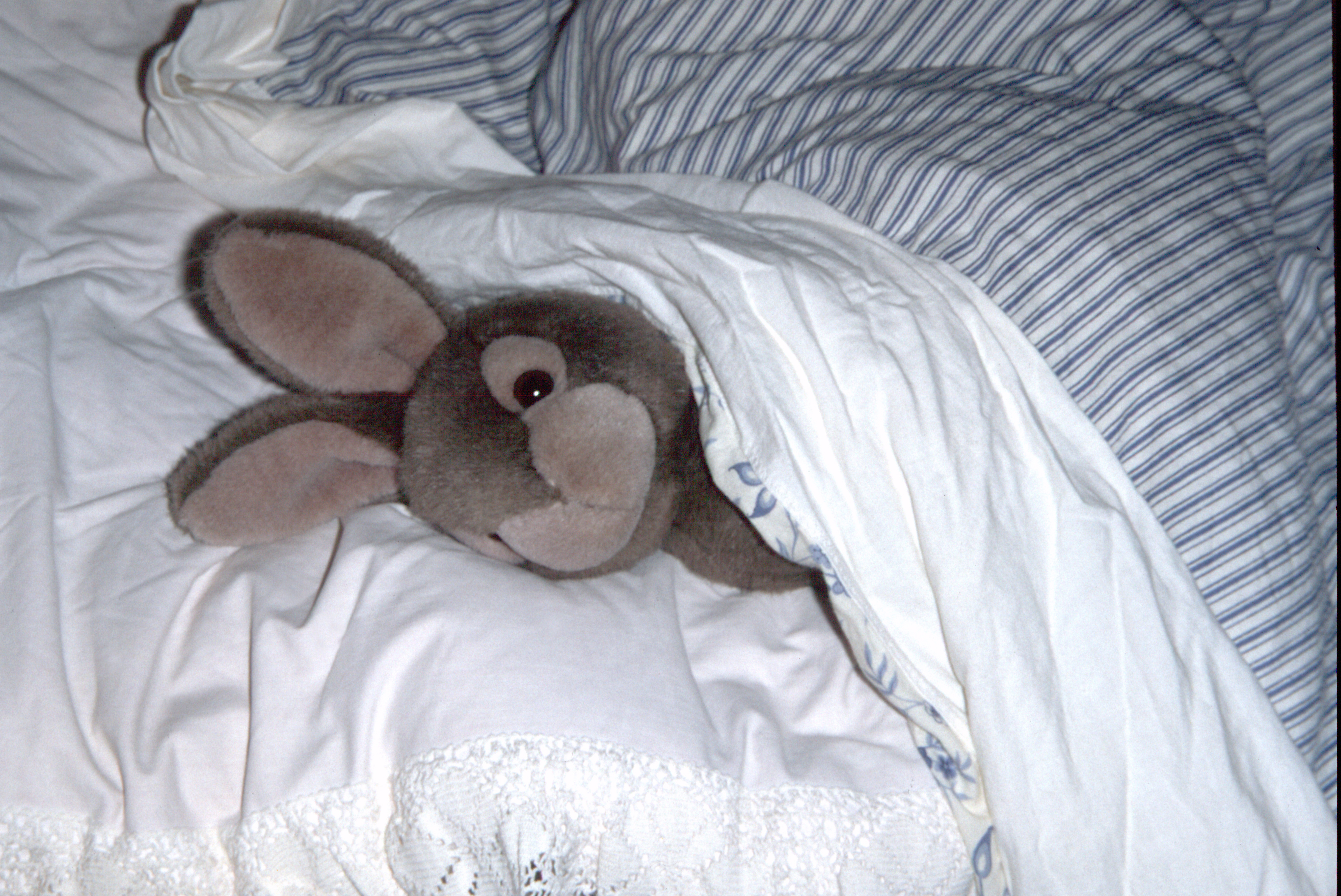 Badevergnügen mit ätherischen Ölen