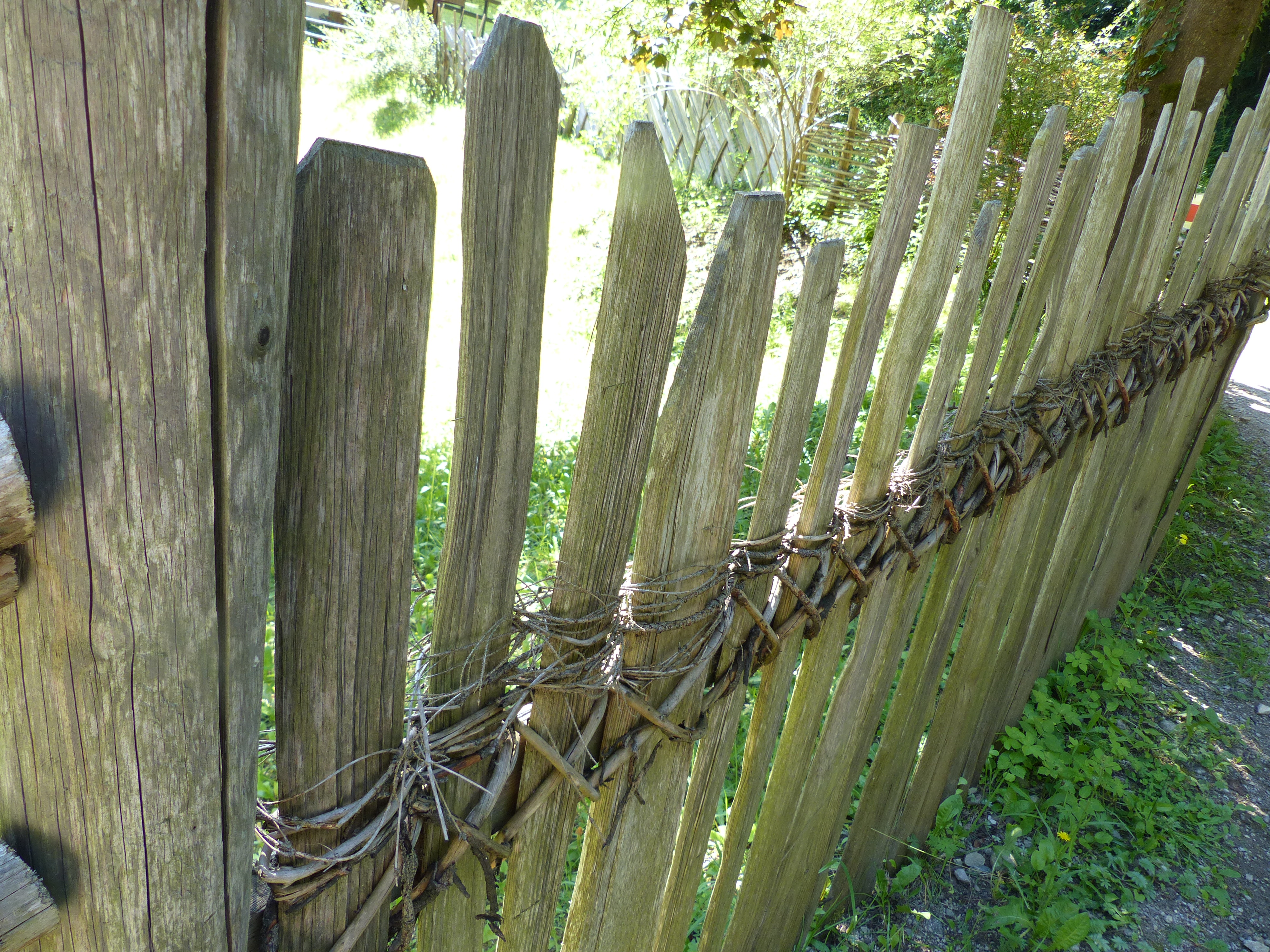 Weidenzäune  selber machen