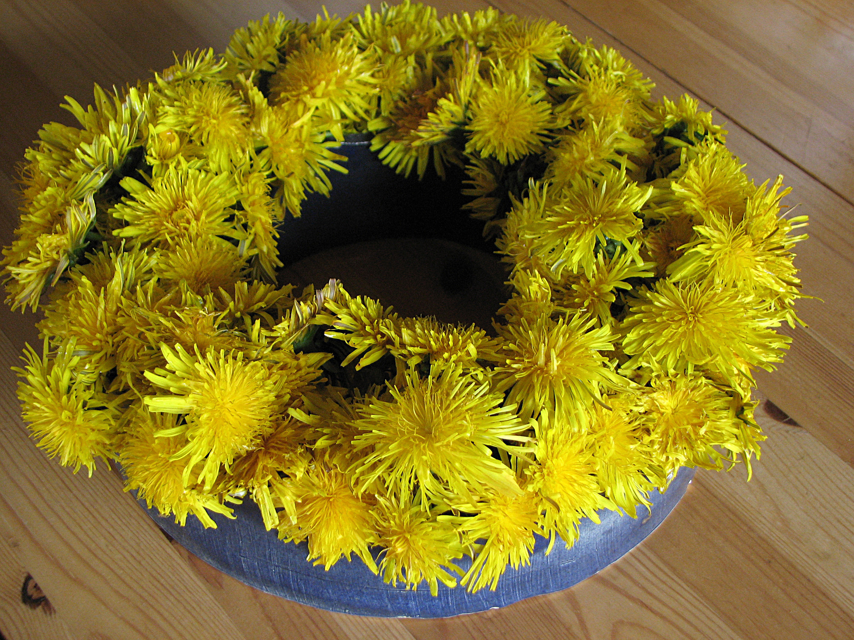 Gewöhnlicher Löwenzahn