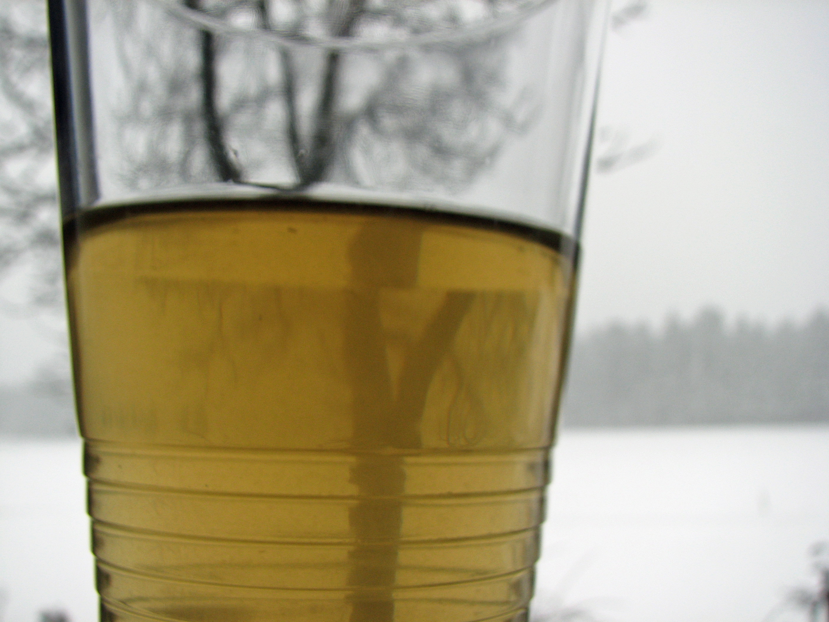 Wintertrunk