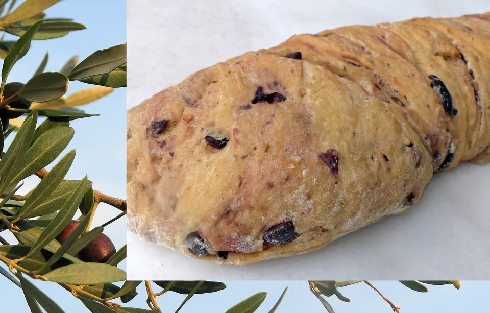 Olivenbrot, Olivenbrötchen