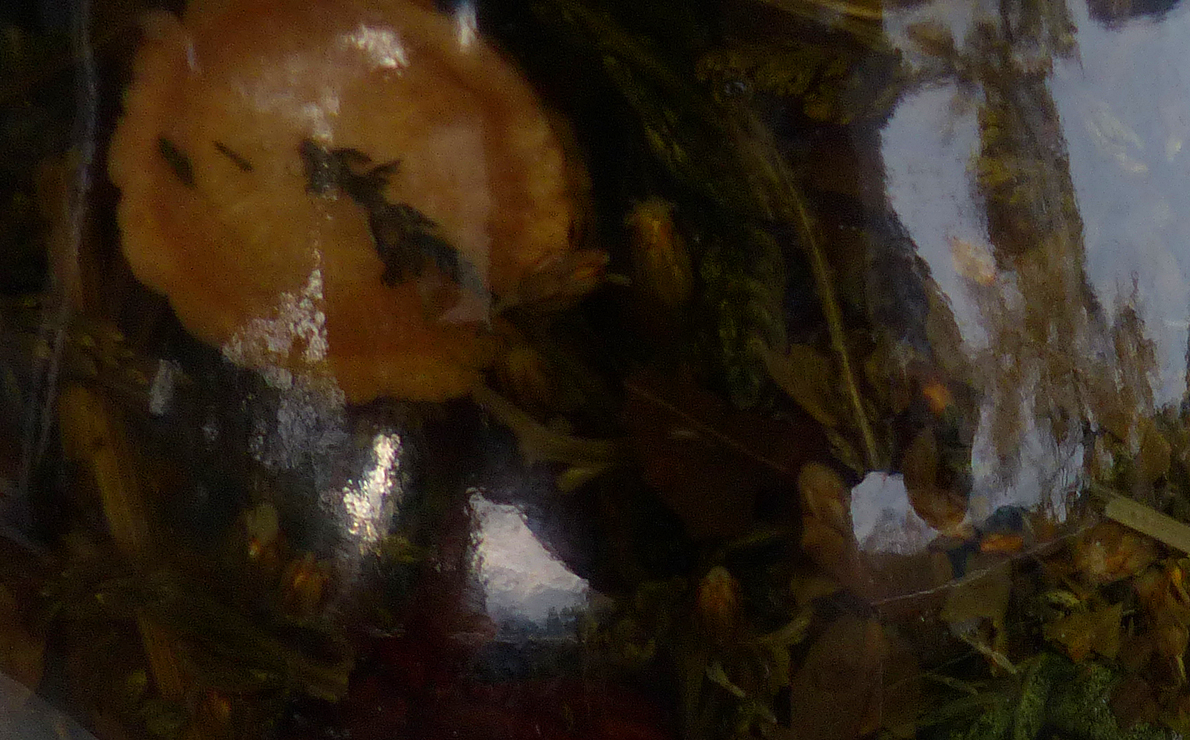 Kräuterbitter, Magenbitter