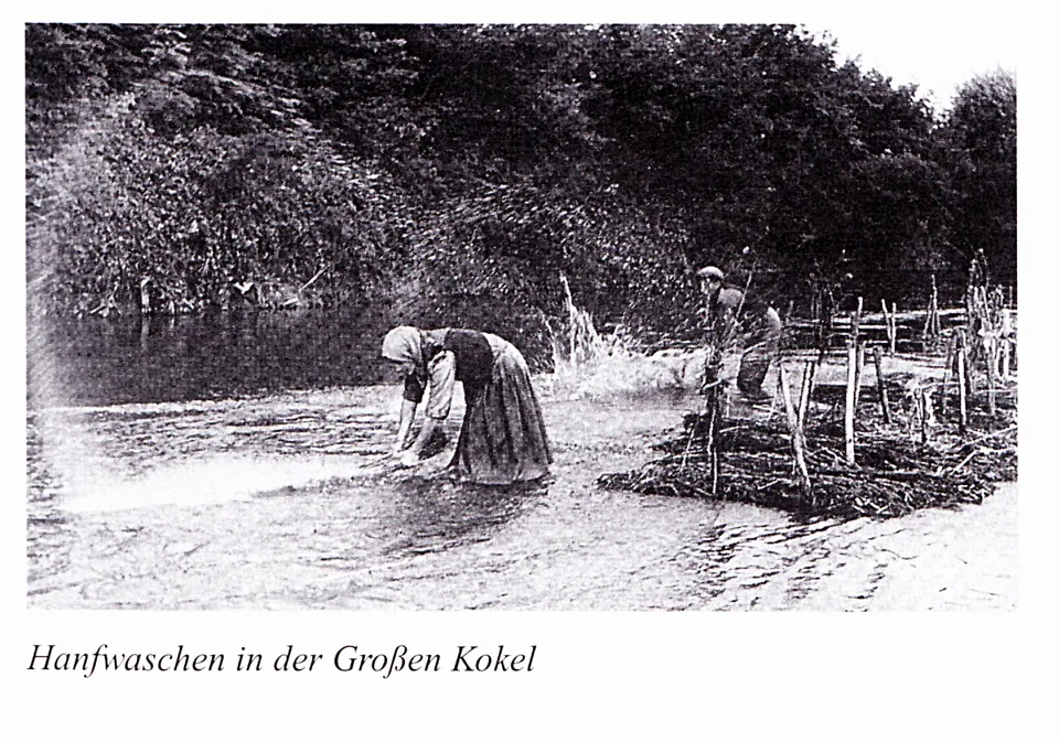 Die Wasserröste