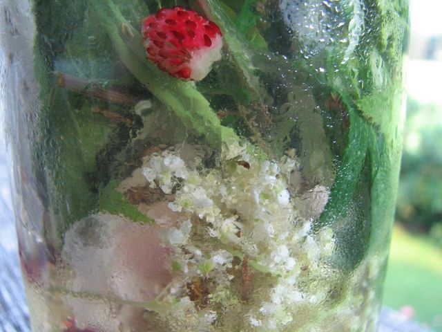 Kräuterwein "Forest Spring"