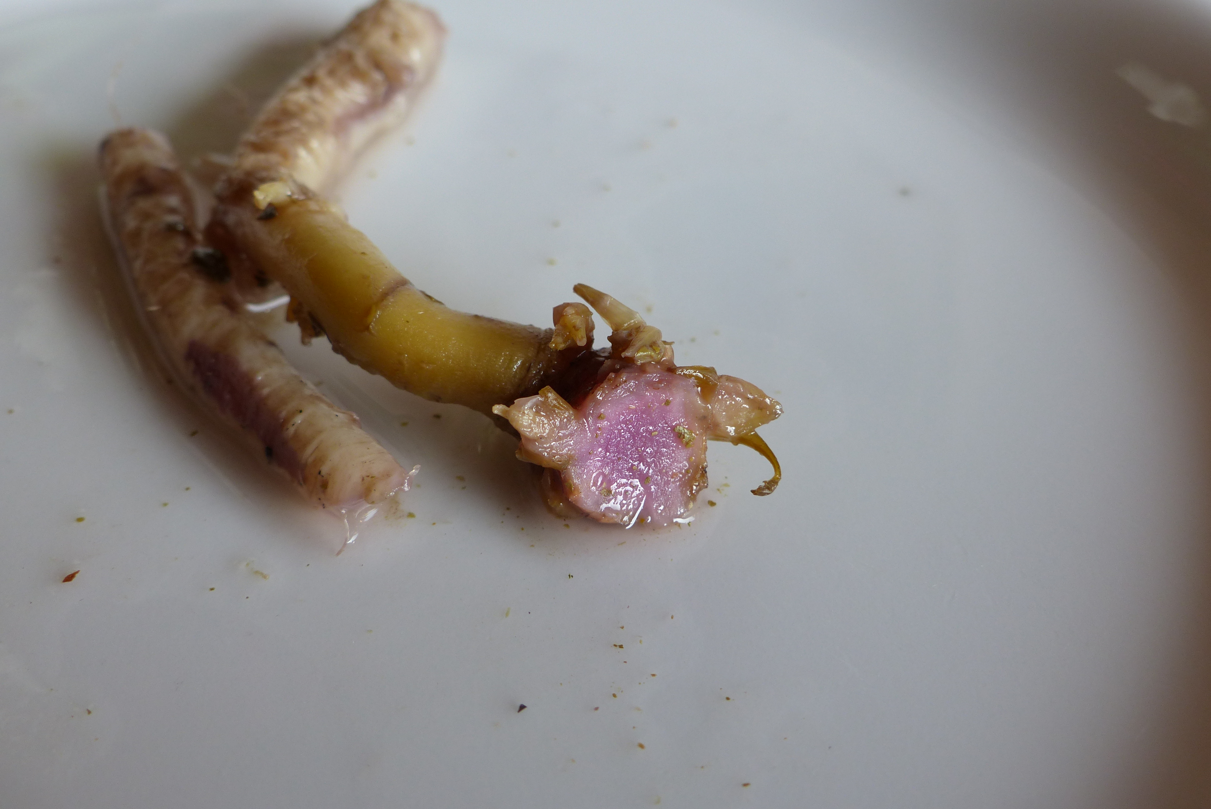 Wilder Wurzelsalat
