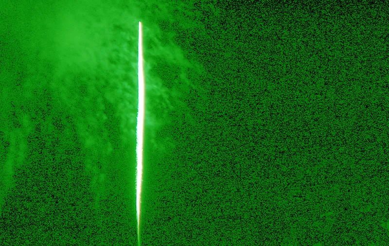 Pflanzliche Arzneimittel im 21. Jahrhundert