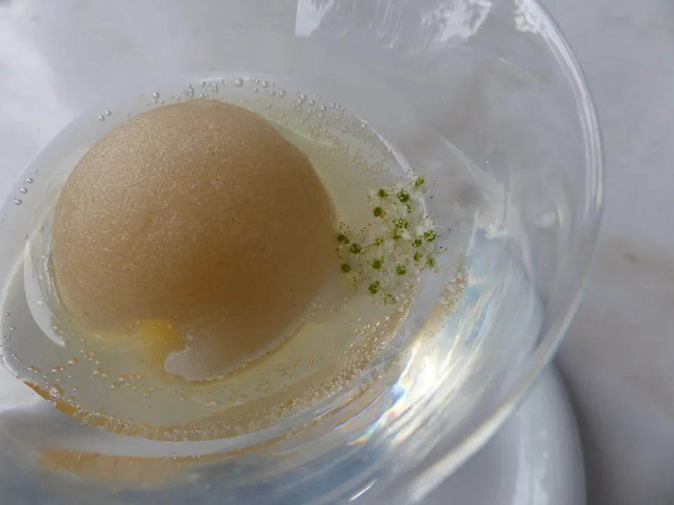 Sorbet der Wiesenkönigin