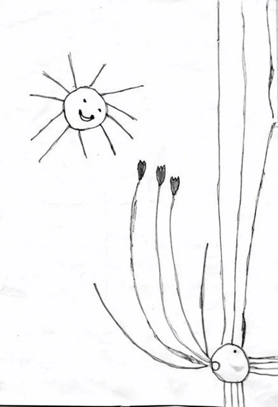 Gründonnerstagssuppe