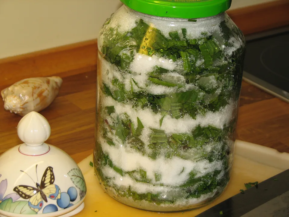 Spitzwegerich-Sirup