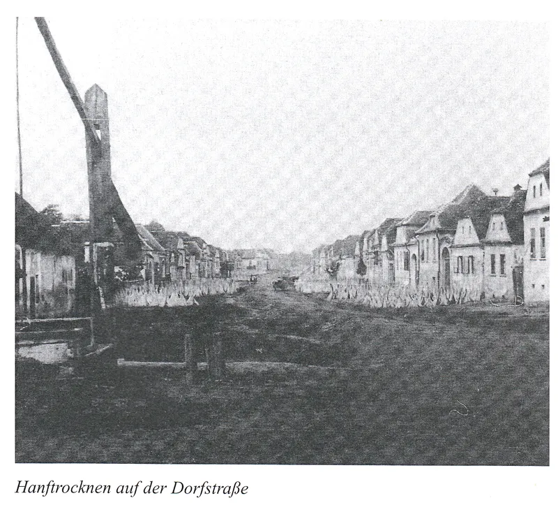 Hanfanbau in Siebenbürgen